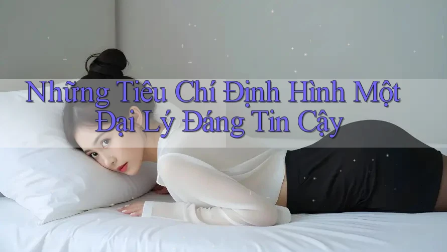 Những Tiêu Chí Định Hình Một Đại Lý Đáng Tin Cậy Những Tiêu Chí Định Hình Một Đại Lý Đáng Tin Cậy