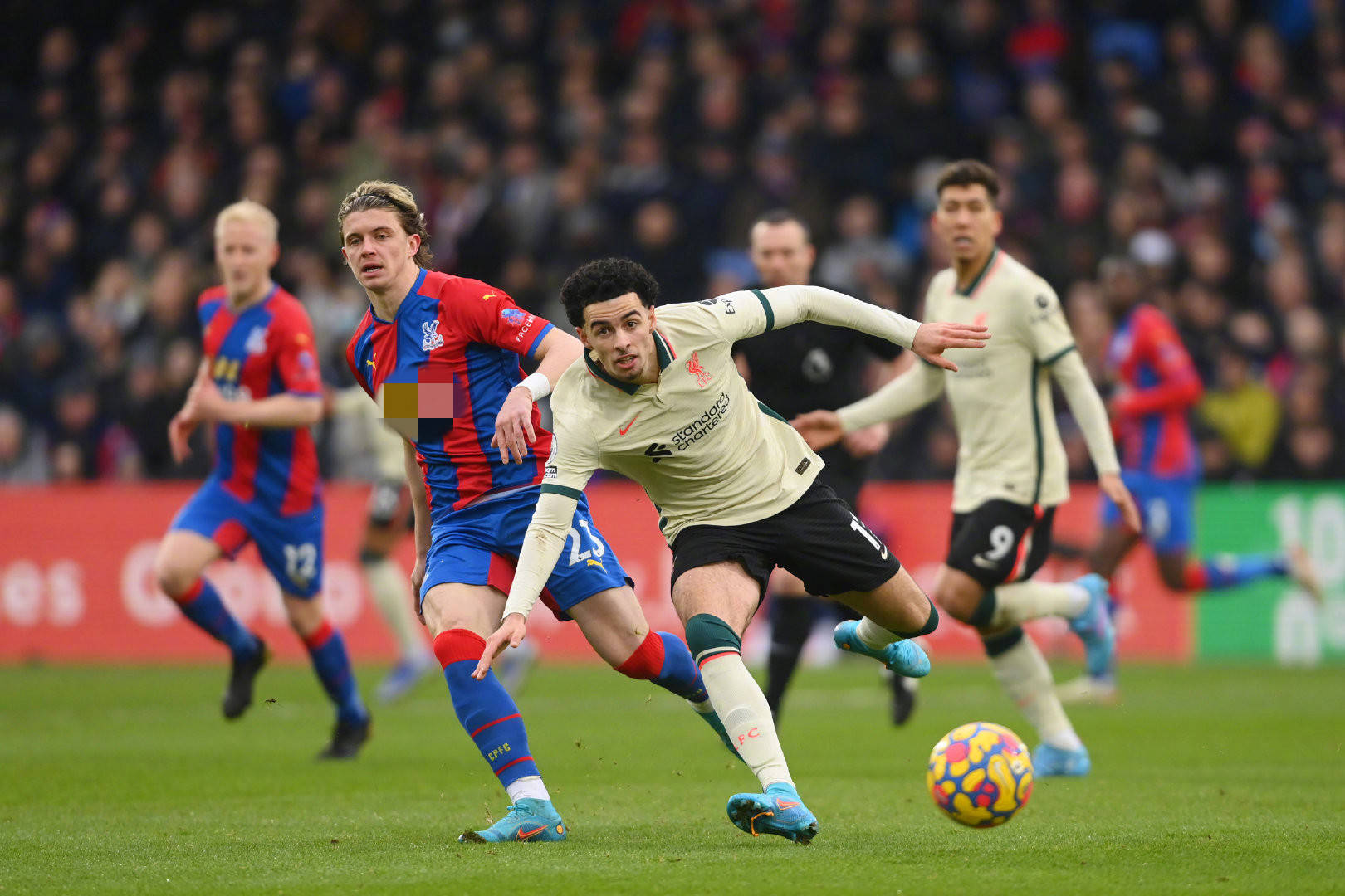 观点的有力 观点的有力